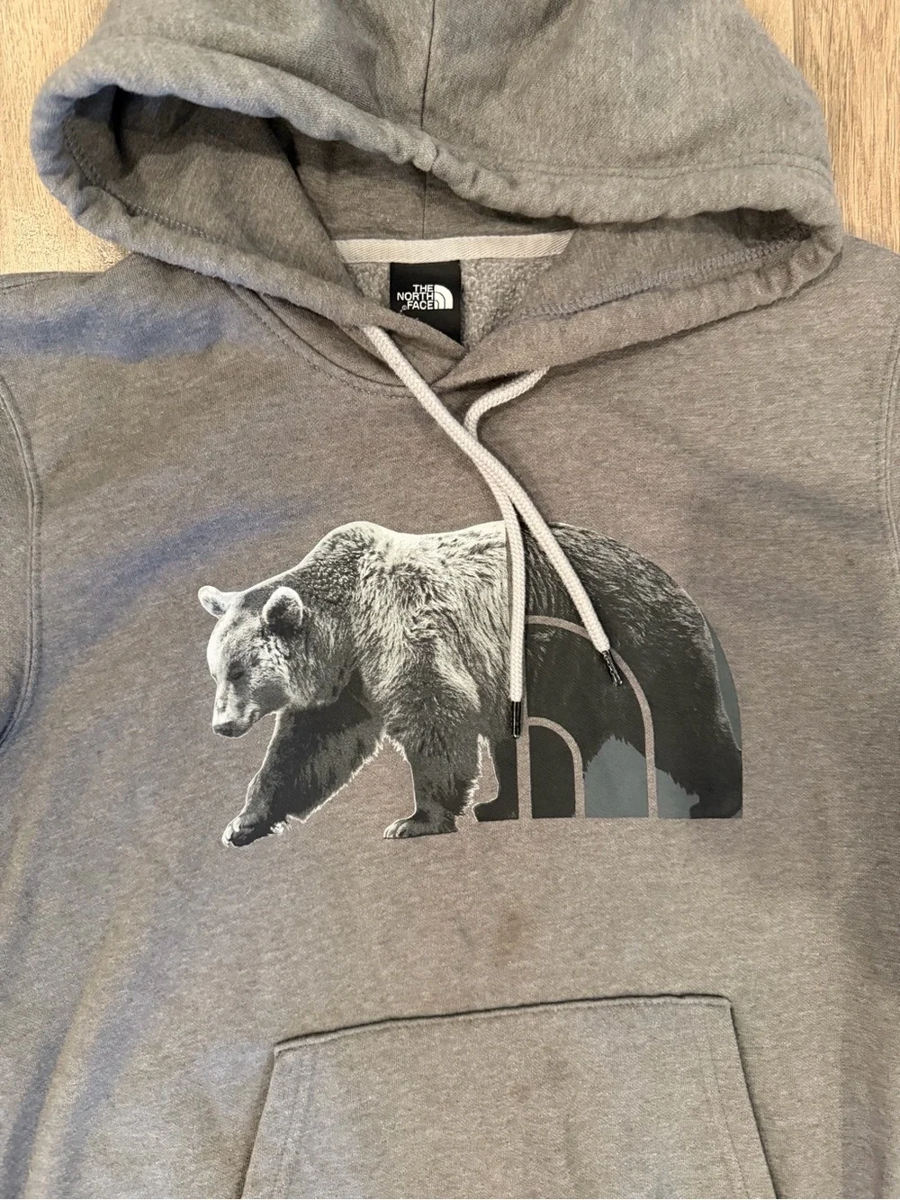 The North Face Men’s Gray Bear Graphic Pullover Hoodie